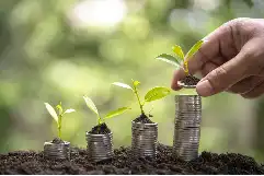 新星崛起！老将谢幕，全运会燃情全天