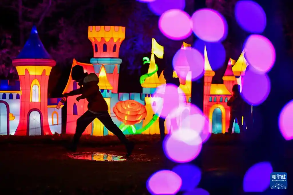 光之花园点亮华沙夜空,艺术与光影的梦幻邂逅