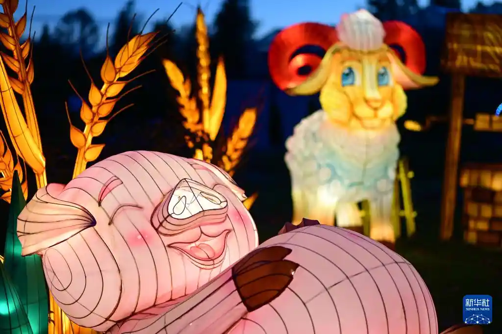 光之花园点亮华沙夜空,艺术与光影的梦幻邂逅