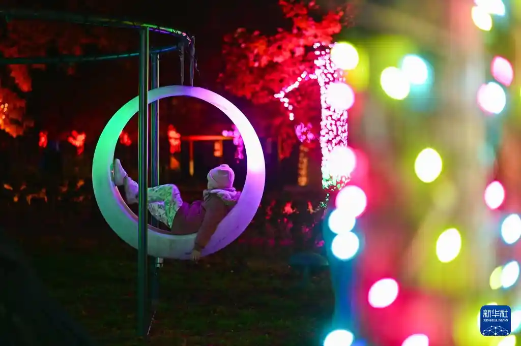 光之花园点亮华沙夜空,艺术与光影的梦幻邂逅