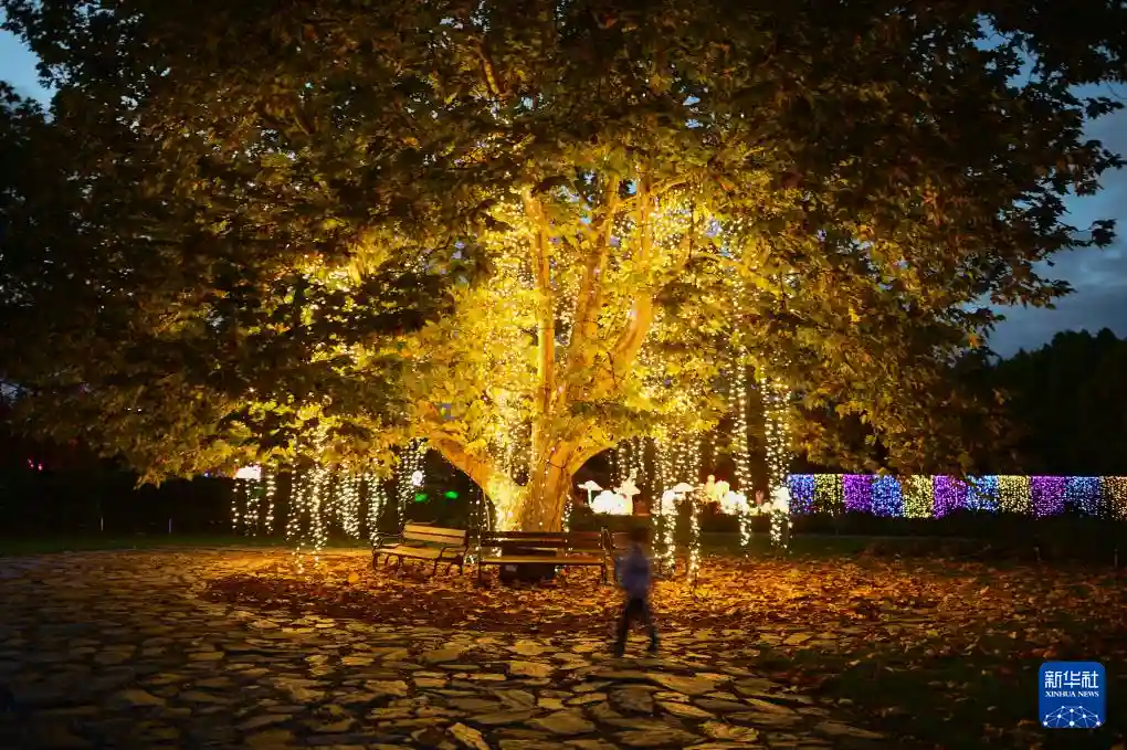 光之花园点亮华沙夜空,艺术与光影的梦幻邂逅