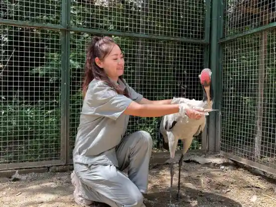 鹤舞云端：青海守护奇迹——黑颈鹤降级背后的生态逆袭