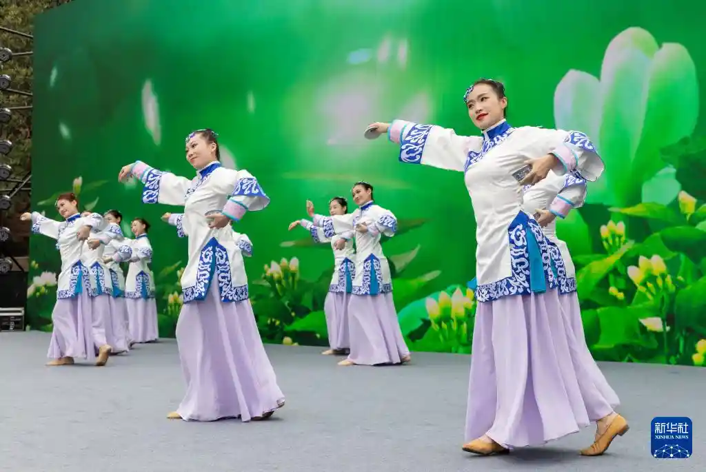 永动世界——2025一带一路年度汉字揭晓