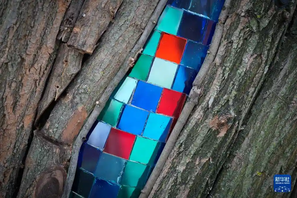 柳树秘境现华沙 神殿惊现古老传说