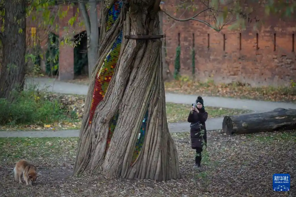 柳树秘境现华沙 神殿惊现古老传说
