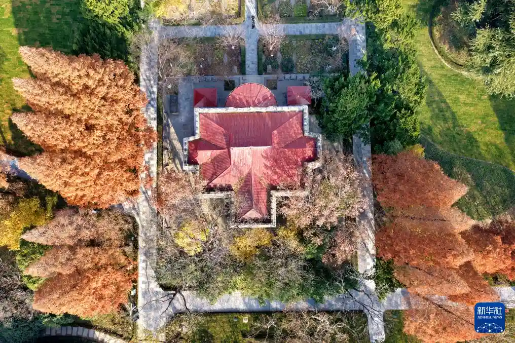 南通博物苑重生记:百年老馆焕新启幕,沉浸式文博体验惊艳亮相