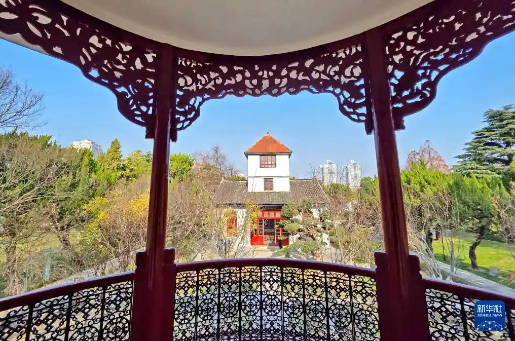 南通博物苑重生记:百年老馆焕新启幕,沉浸式文博体验惊艳亮相