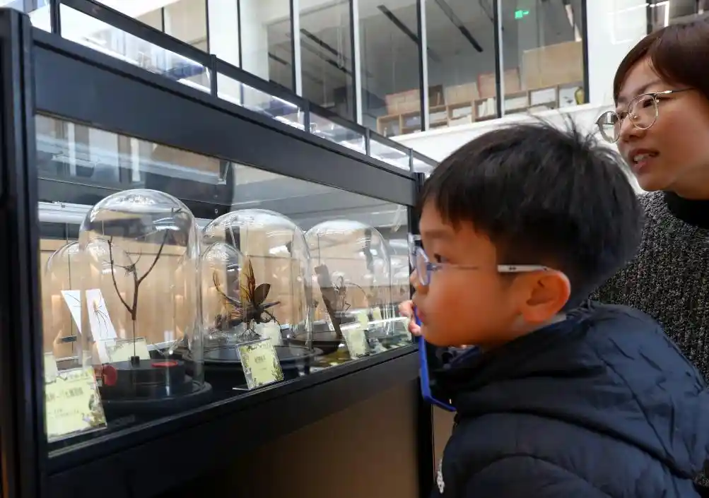 标本跃动，创意绽放——第六届中国动物标本大赛上海启幕