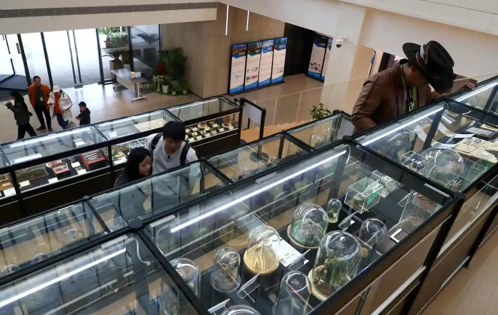 标本跃动,创意绽放——第六届中国动物标本大赛上海启幕