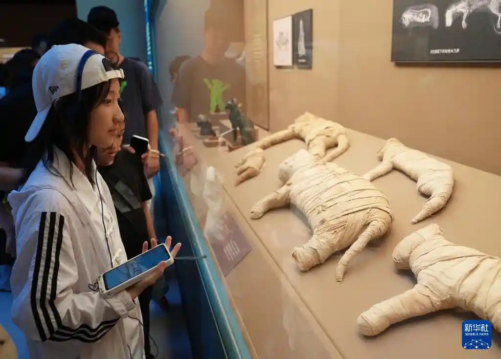 夜探古埃及:上博168小时文明狂欢开启