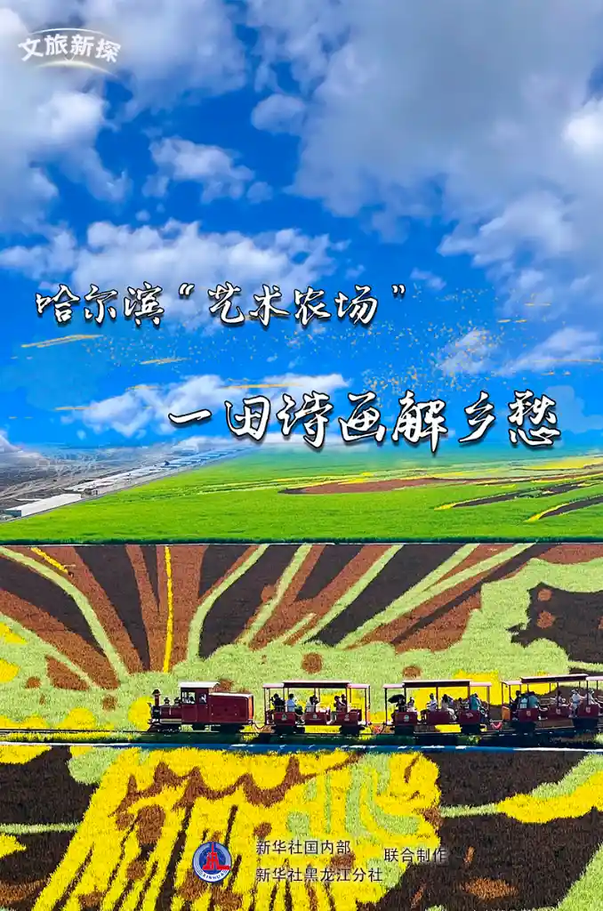 诗意稻田里的艺术狂想：哈尔滨艺术农场唤醒乡愁新体验