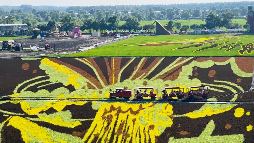 诗意稻田里的艺术狂想:哈尔滨艺术农场唤醒乡愁新体验