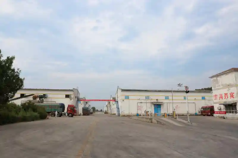 中储粮暖心护航小麦收购，农民卖粮更安心更高效