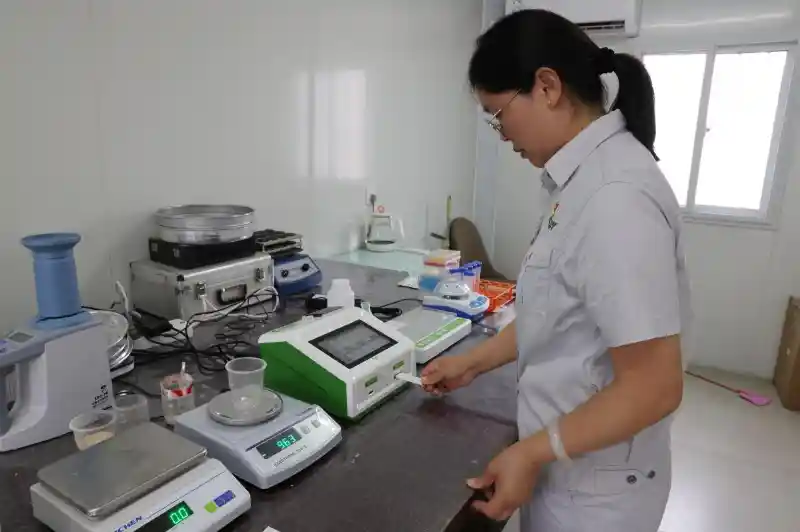 中储粮暖心护航小麦收购,农民卖粮更安心更高效