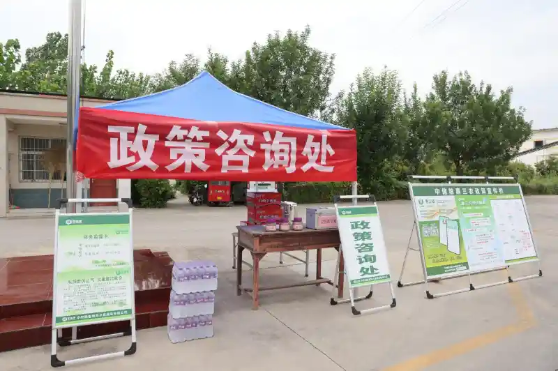 中储粮暖心护航小麦收购,农民卖粮更安心更高效