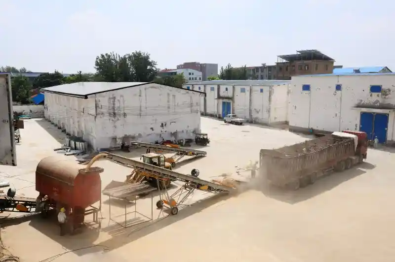 中储粮暖心护航小麦收购,农民卖粮更安心更高效