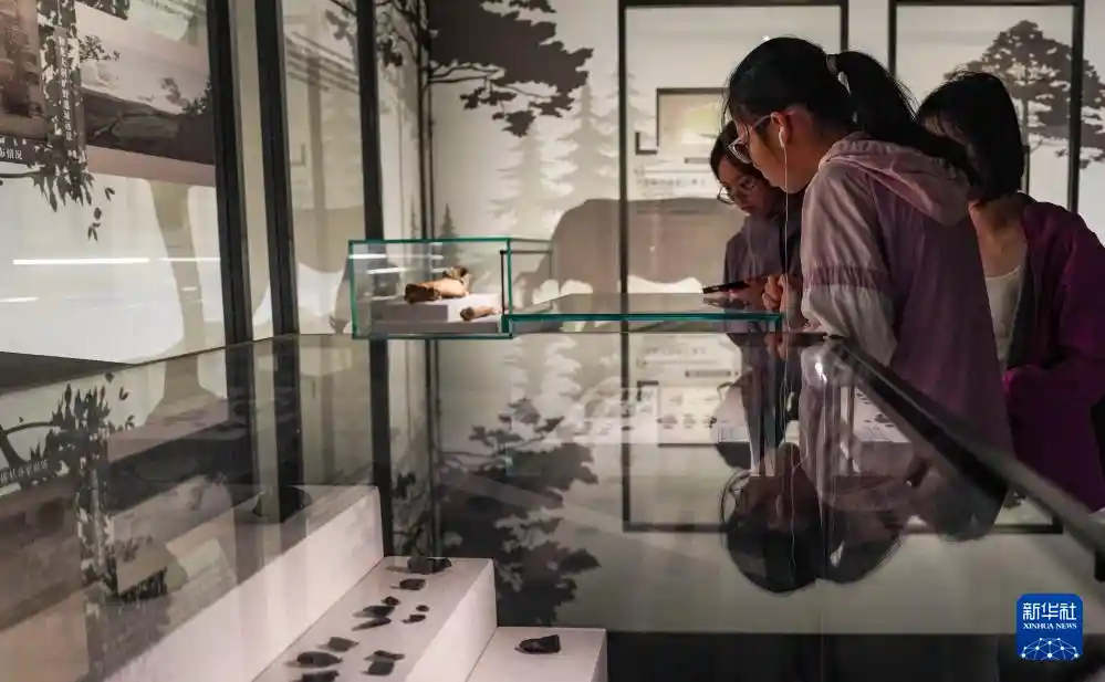 文博热点燃暑期:走进博物馆,感受文化新魅力