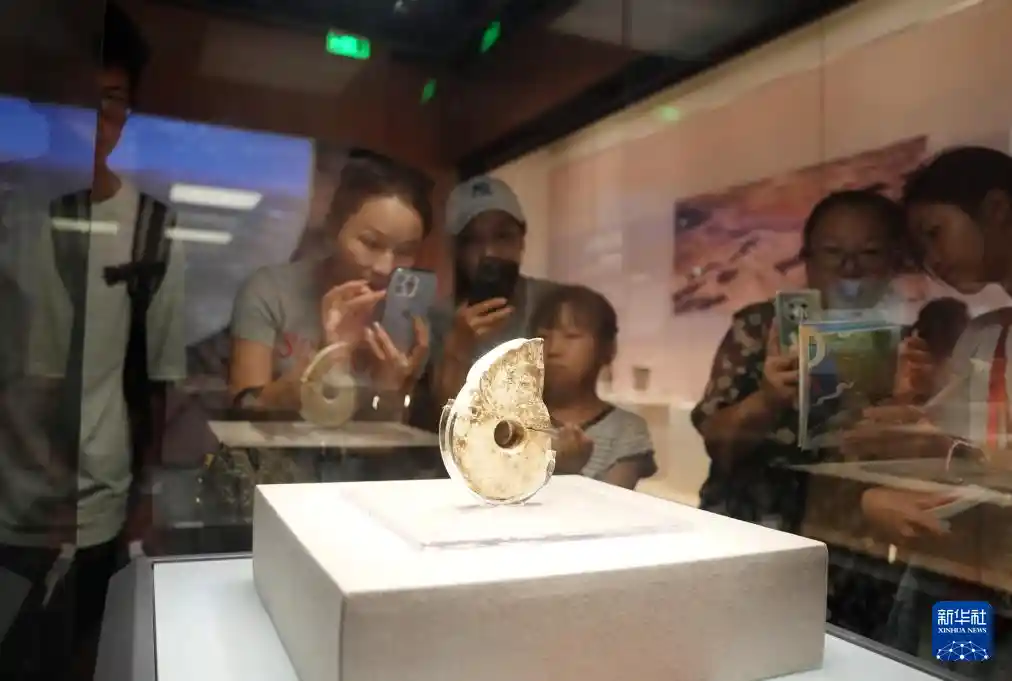 文博热点燃暑期:走进博物馆,感受文化新魅力