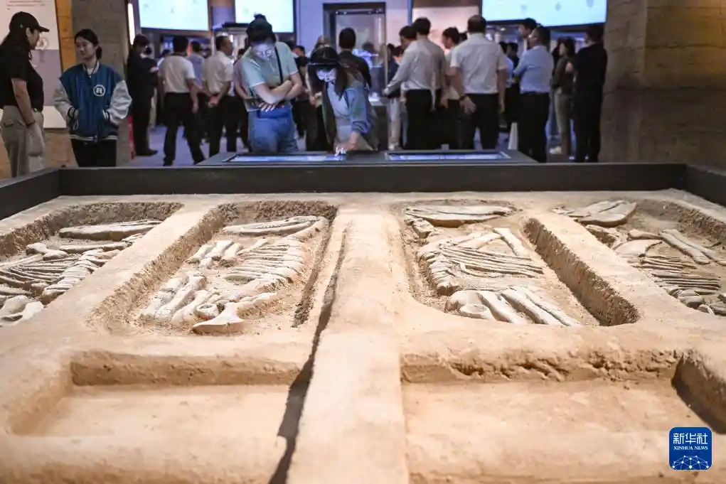 探秘千年古都：首博呈现房山琉璃河遗址震撼之旅