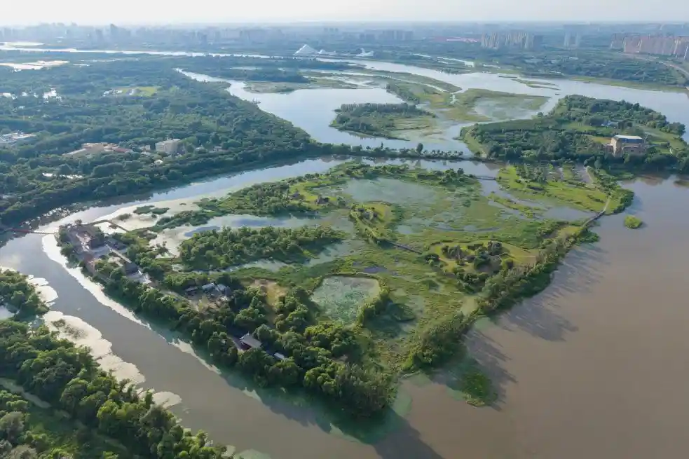 湿地秘境现冰城:太阳岛邀你共绘生态新图景