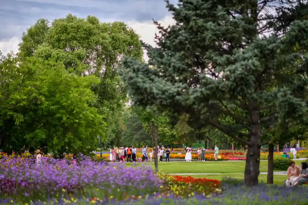 湿地秘境现冰城:太阳岛邀你共绘生态新图景