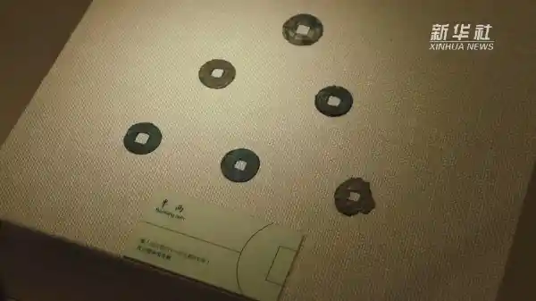 钱韵千年·文脉西吉——探秘西吉钱币博物馆里的文化密码