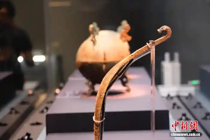 宁波博物馆暑期火爆!165件西南青铜珍品跨省集结惊艳亮相