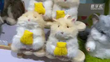 潮玩新势力:2025北京展引爆文化消费新浪潮