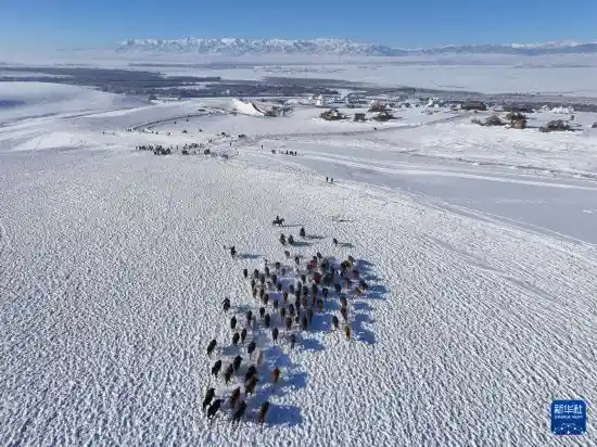 冰雪盛宴启新程——昭苏文旅体育共绘发展新图景