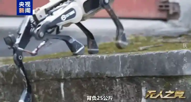 中国新型战术集群亮相：智能狼群搭载致命武器，巷战能力震撼曝光