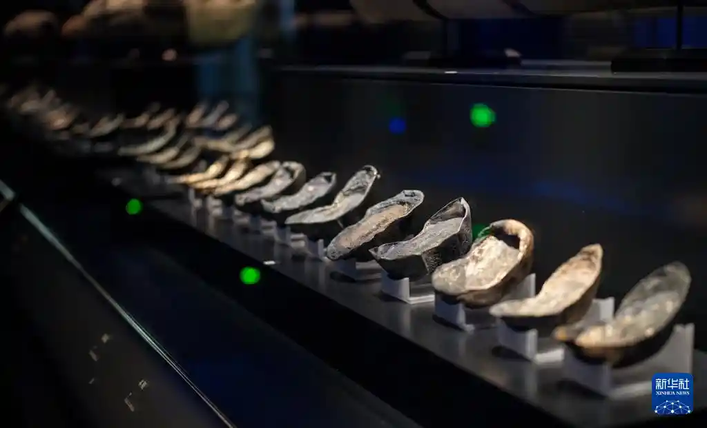 江口沉银博物馆开放日：千年宝藏揭开神秘面纱