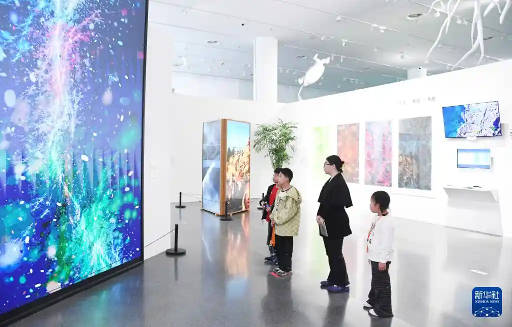 北京数字艺术展:沉浸式体验未来艺术新纪元