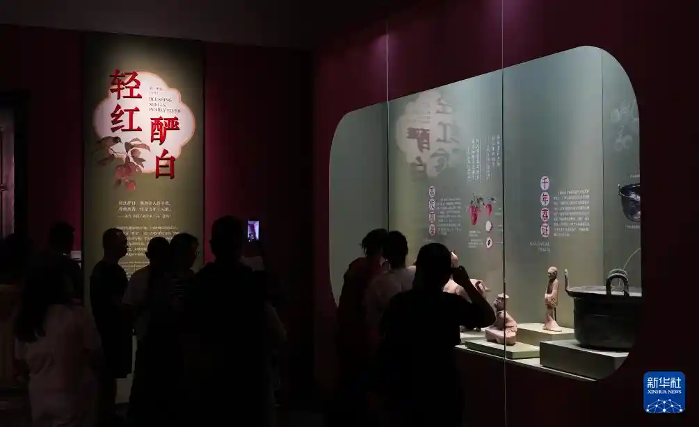 海口:荔枝展开启夏日悠然度假新体验