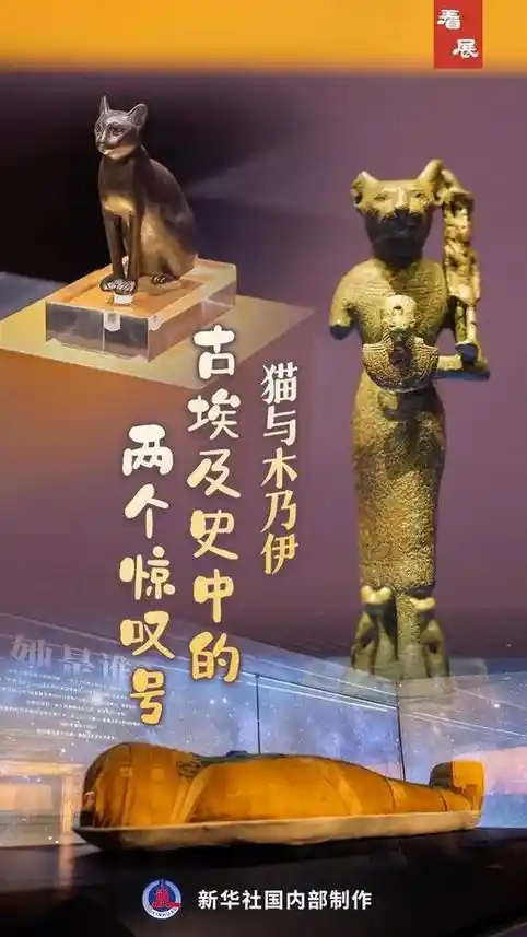 猫与木乃伊：古埃及史上的两大震撼符号